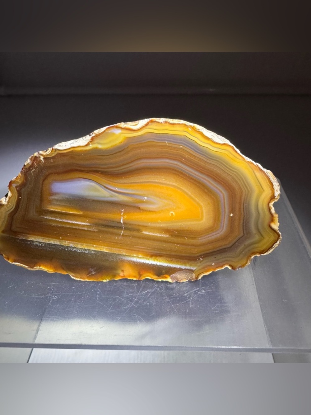 Natural Banded Agate Slice Brown Orange Polished Display Specimen